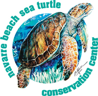 Navarre Beach Sea Turtle Conservation Center