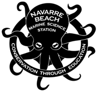 Navarre Beach Marine Science Station